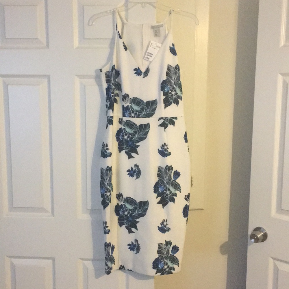 H&M White and Blue Floral Dress